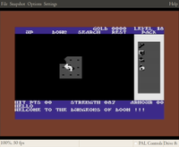 Rogue on the C64