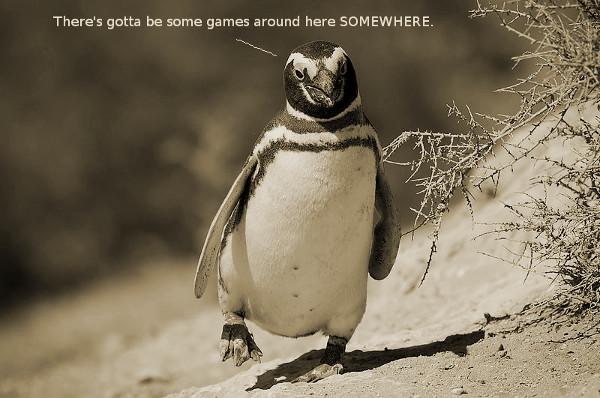 Penguin searching for games