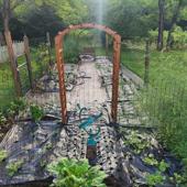New Garden Areas - 4 of 4