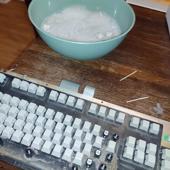 Cleaning Up Nasty Pet and User Dander - 2 of 3
