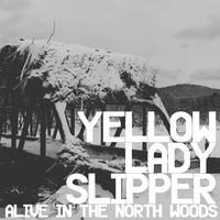 Alive in the North Woods - Front Cover